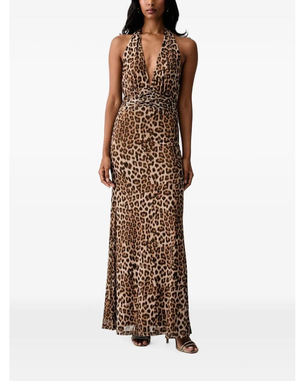 Bardot Brown Elera Leopard-Print Ruched-Waist Maxi Dress