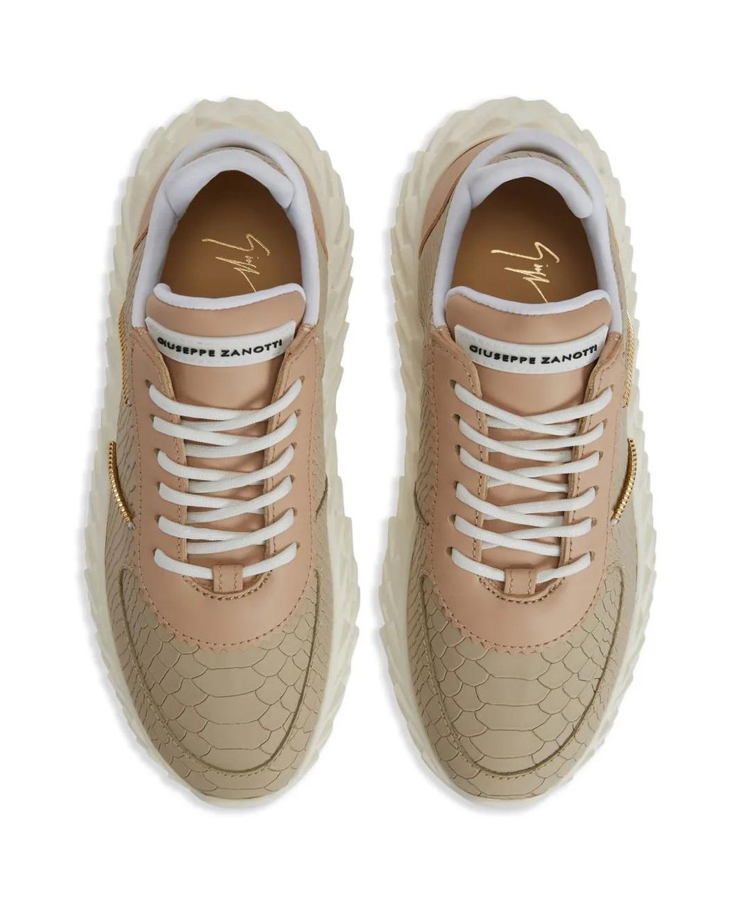 Giuseppe Zanotti Natural Urchin