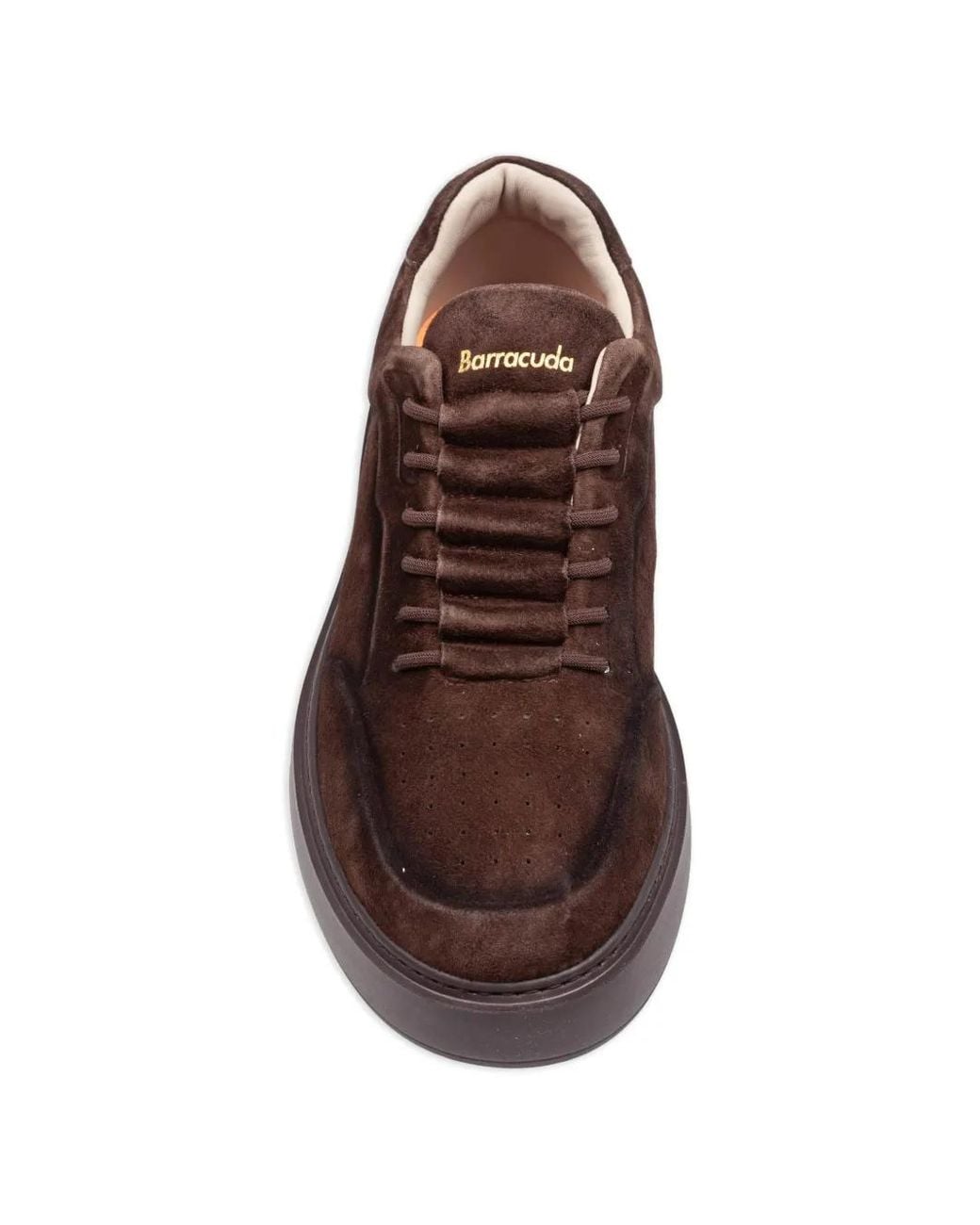 Barracuda Brown Phoenix Suede Sneakers for men