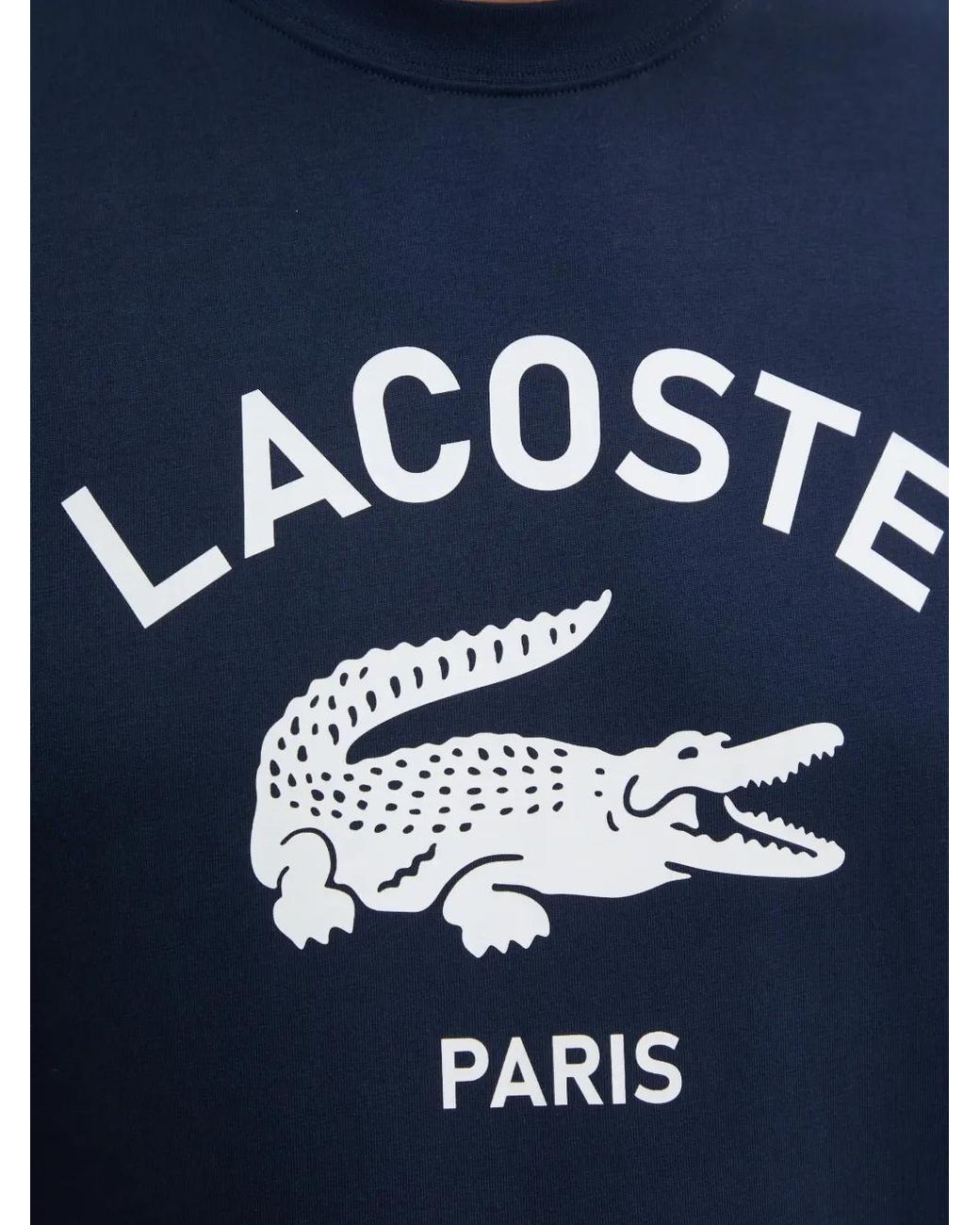 Lacoste Blue Logo T-Shirt