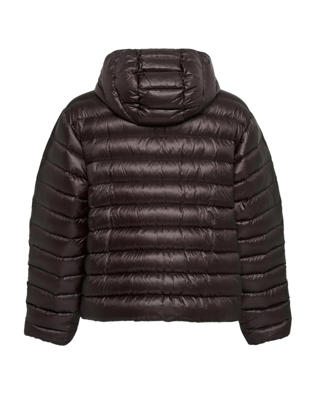 Jil Sander Black Hooded Padded Jacket for men