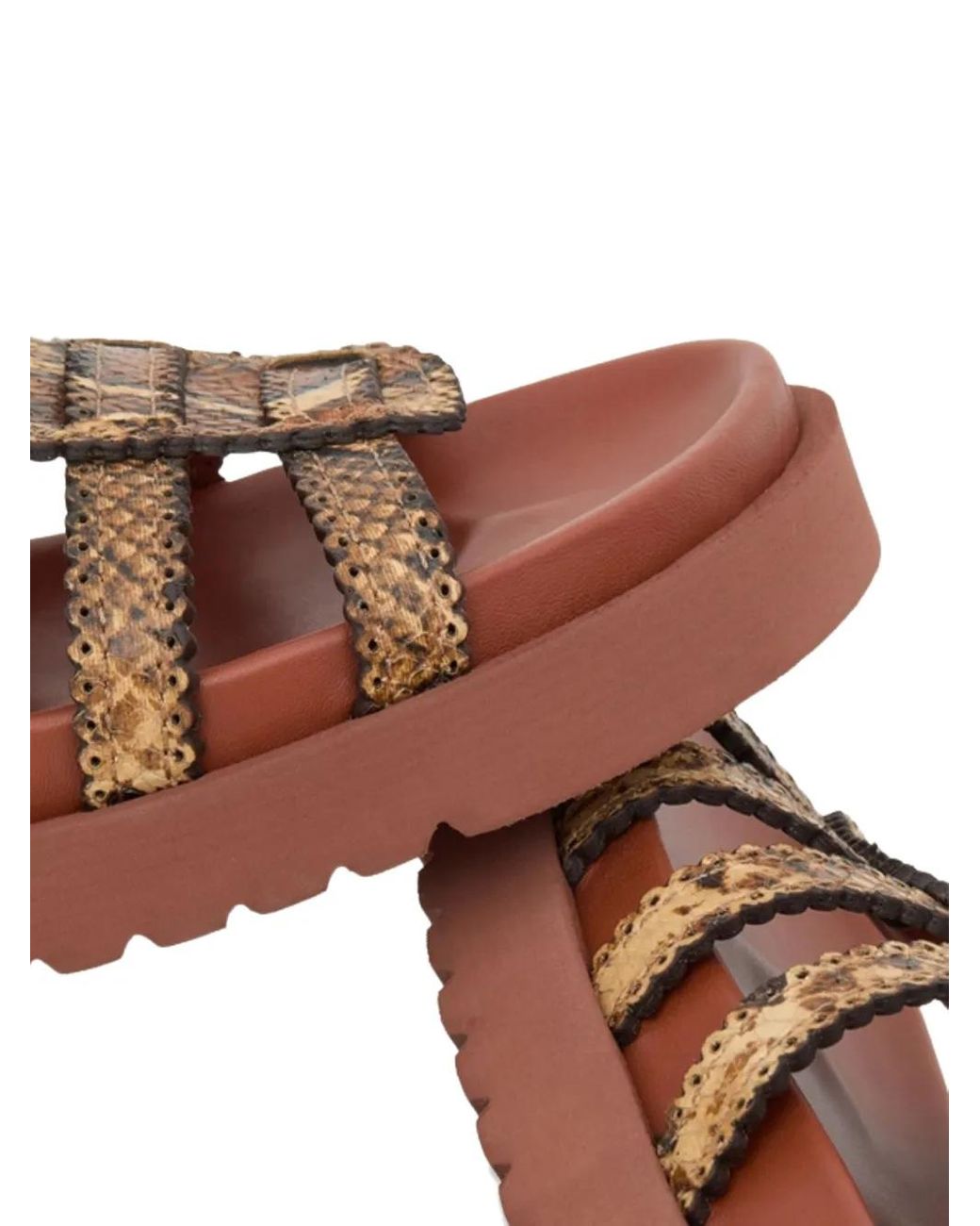 Zimmermann Brown Goldie Gladiator Buckle Sandals