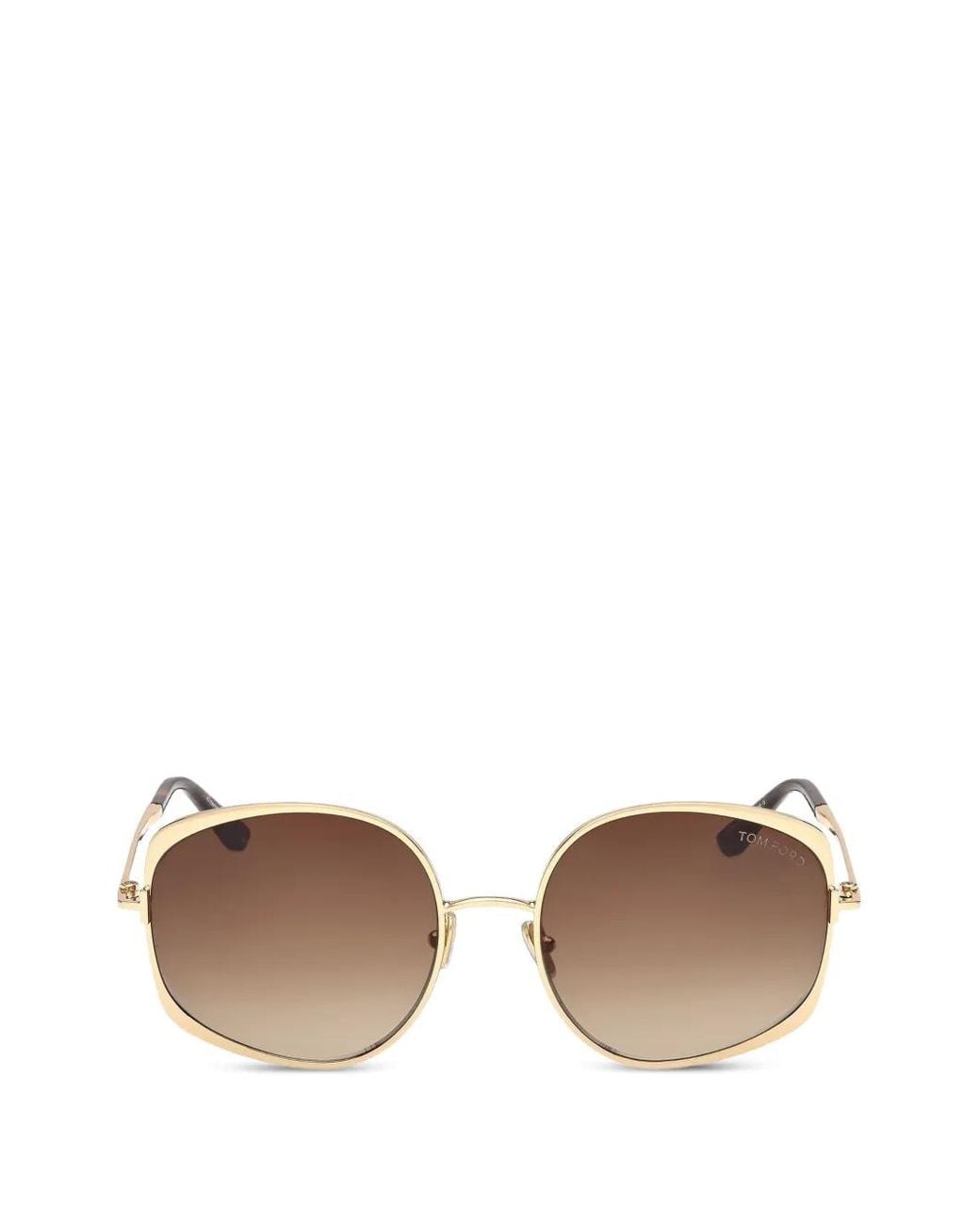 Tom Ford Natural Browline Oval-Frame Sunglasses