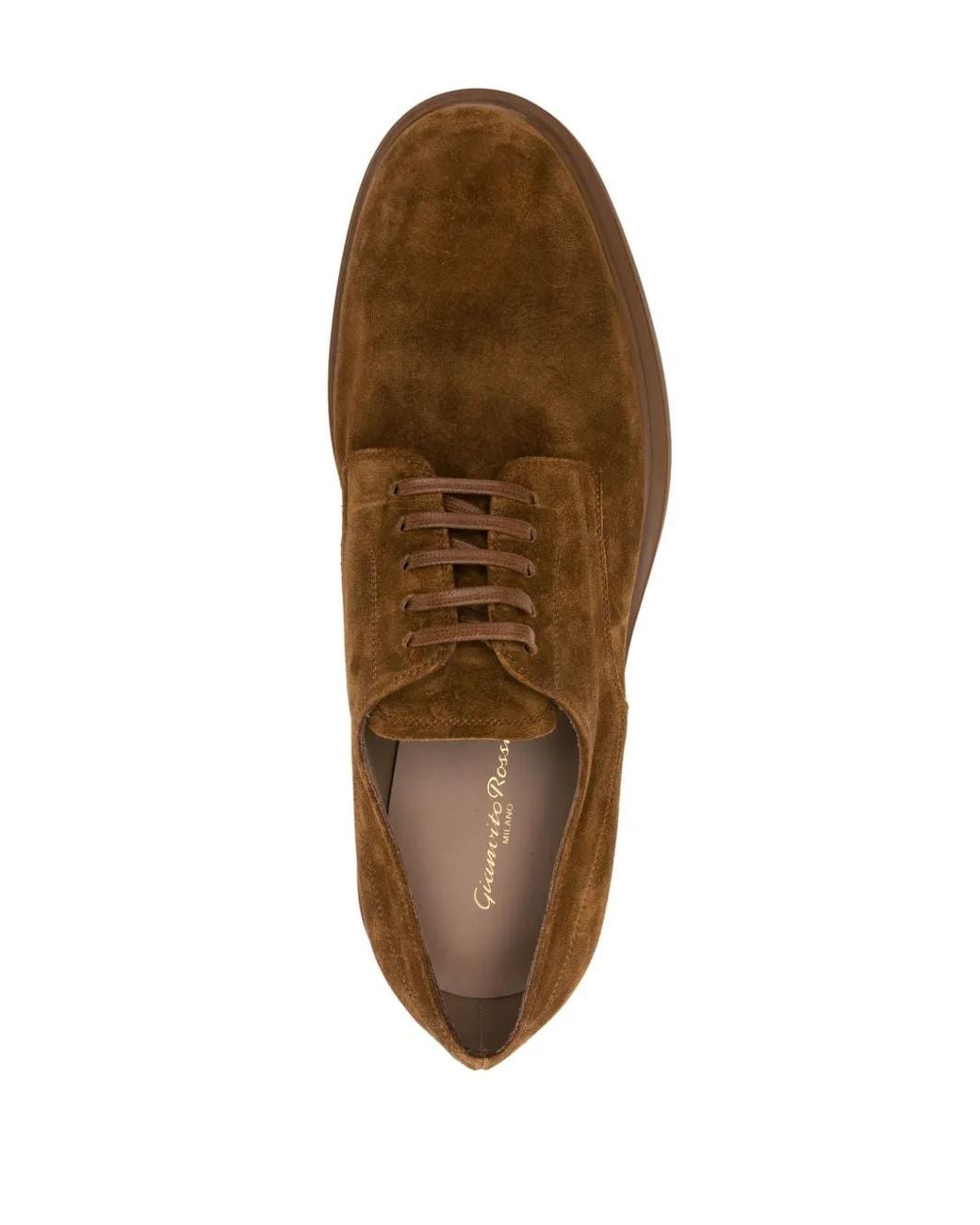Gianvito Rossi Brown William Suede Derby Shoes for men
