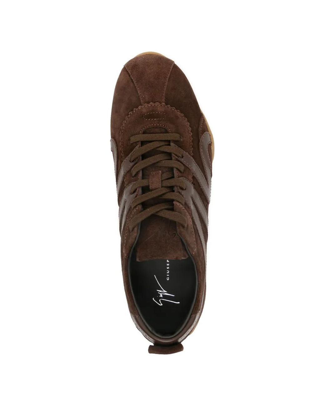 Giuseppe Zanotti Brown Top Sneakers