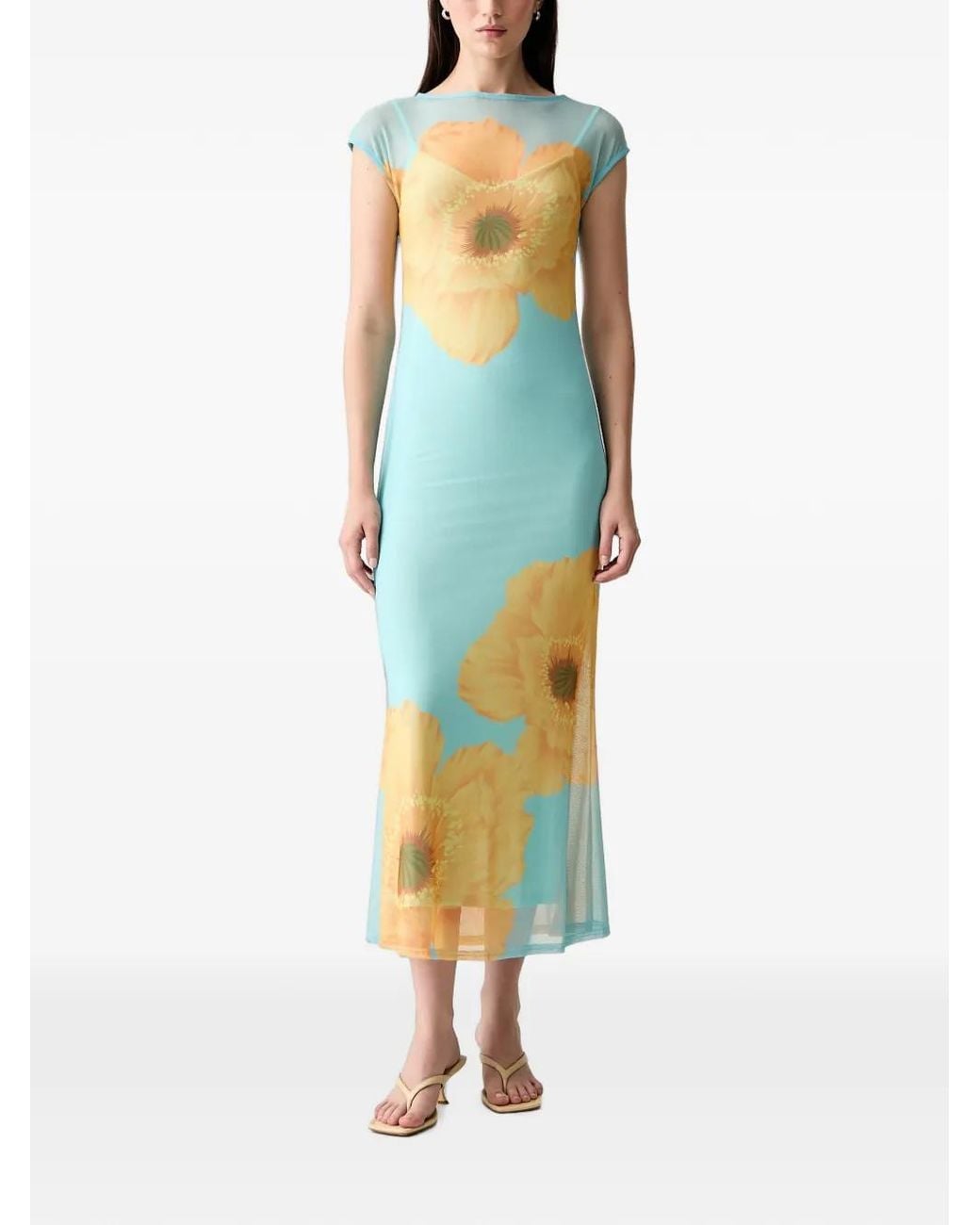 Never Fully Dressed Blue Floral-Print Mesh Midi Dress