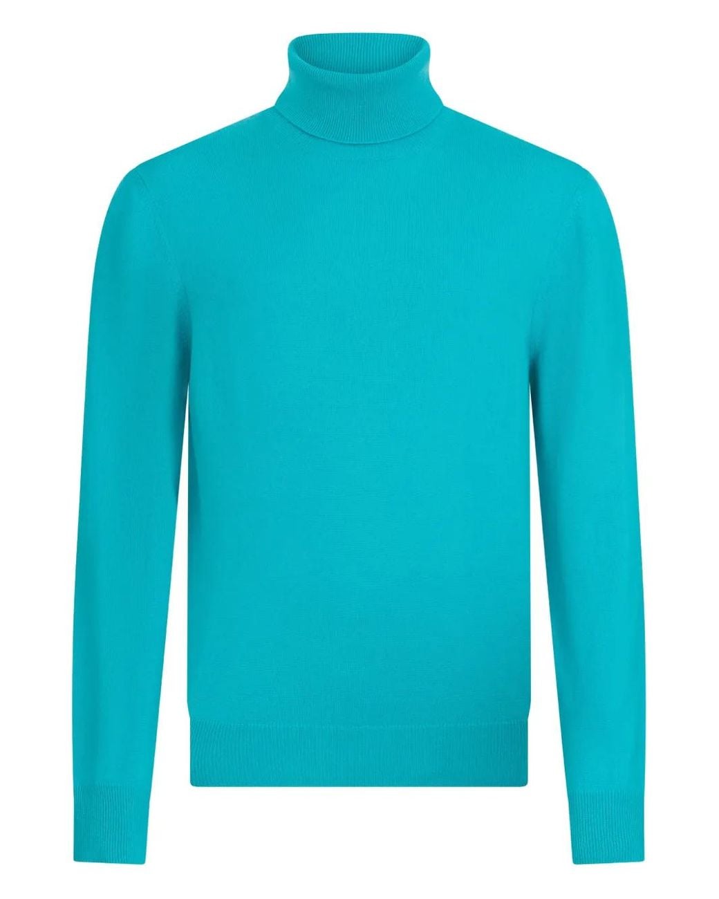 Malo Blue Roll-Neck Sweater for men