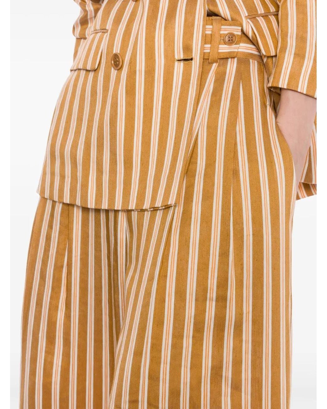 Alberta Ferretti Gestreepte Broek in het Metallic