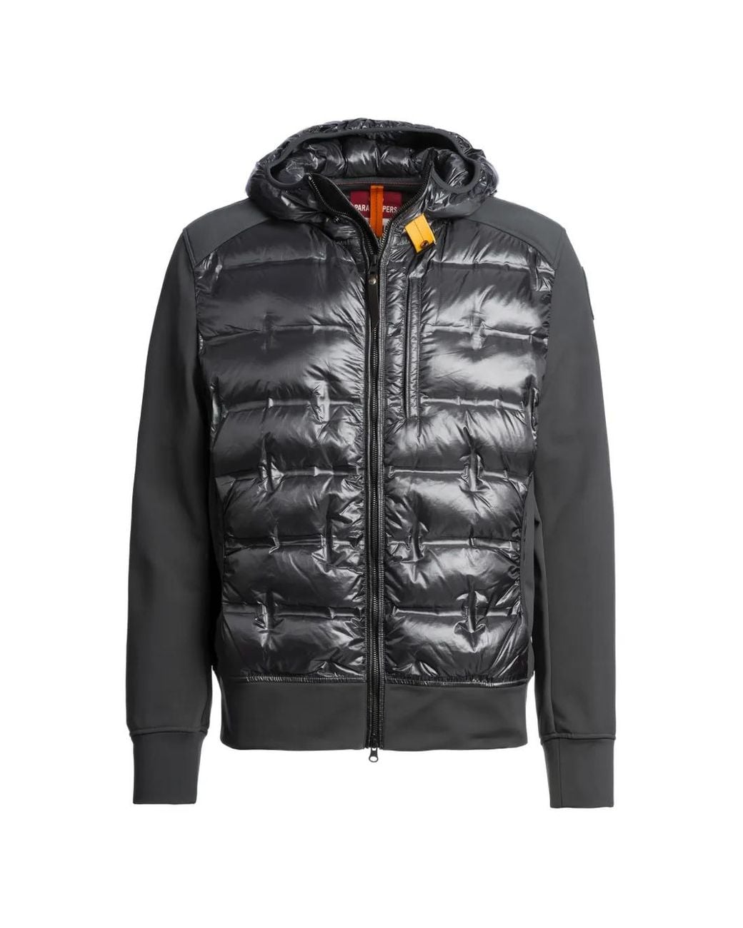 Parajumpers Gray Hooded Padded Jacket for men