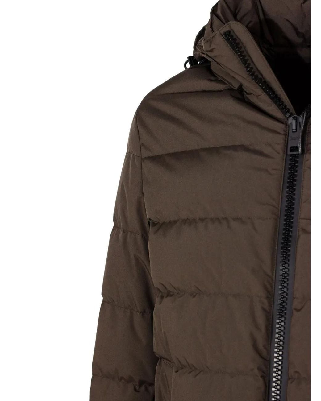 Herno Brown Padded-Down Jacket for men
