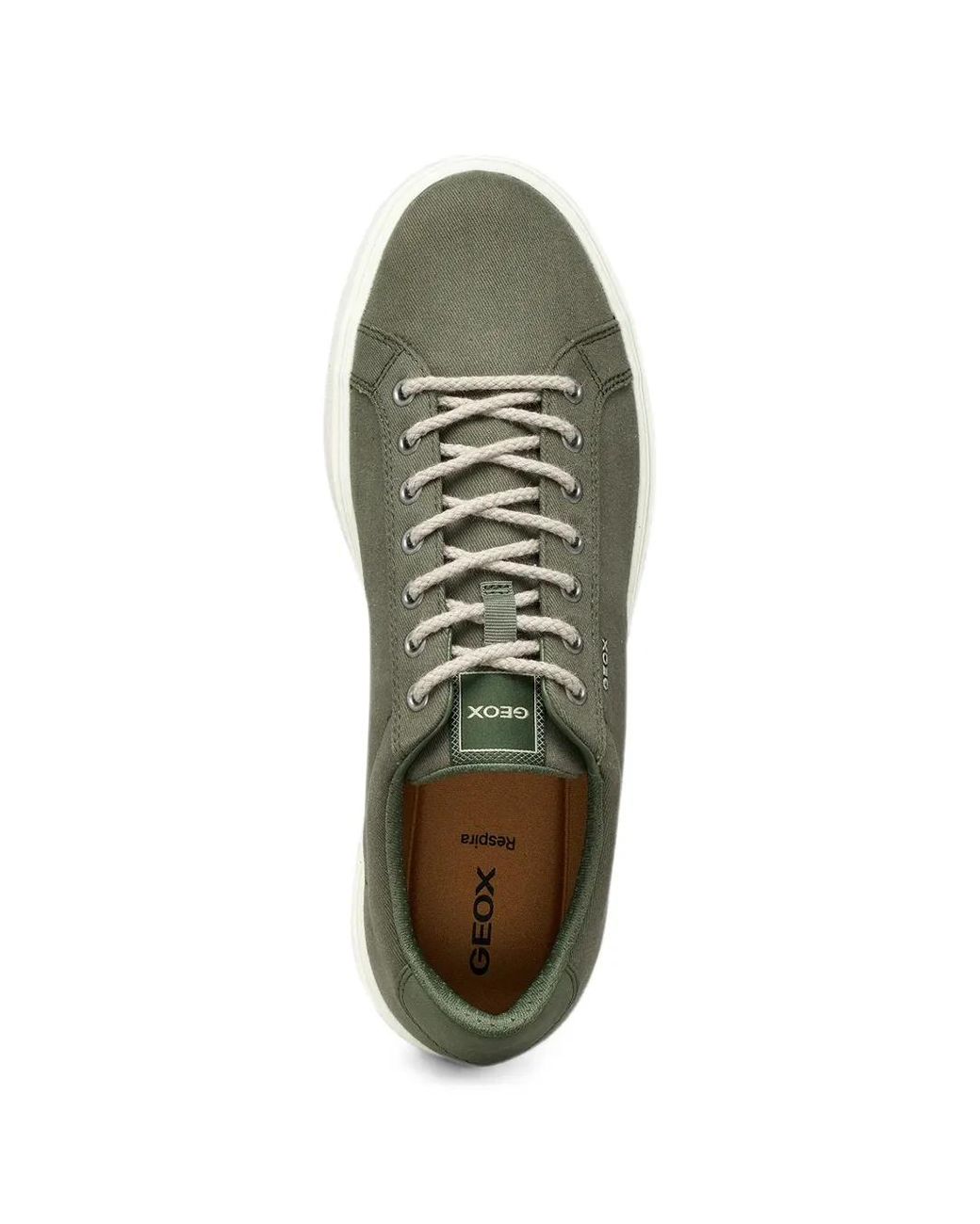 Geox Green Baltmoore for men