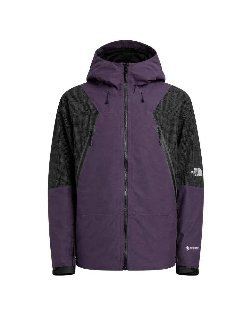 The North Face Purple Mountain Hooded Jacket