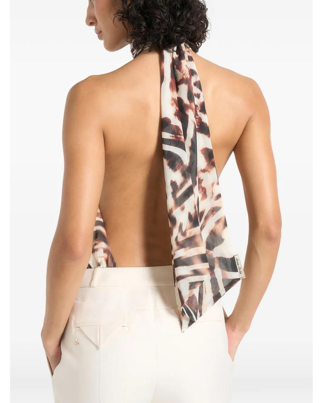 Manière De Voir White Phoebe