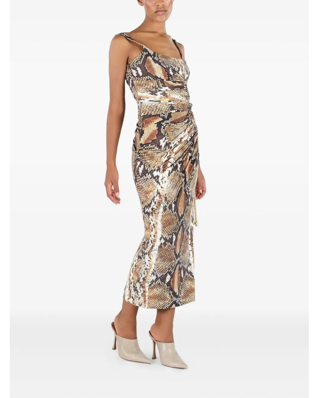 Roberto Cavalli Brown Python-Print Midi Dress