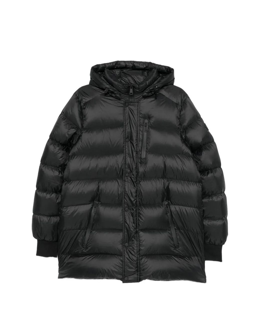 SERGIO MORETTI FIRENZE Black Veste Matelassée À Patch Logo for men