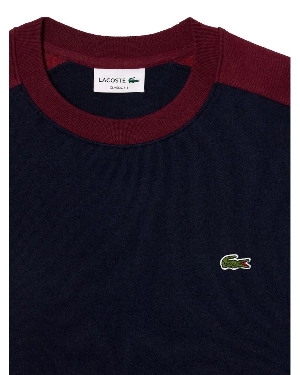 Lacoste Blue Colourblock Logo-Detail Sweatshirt for men