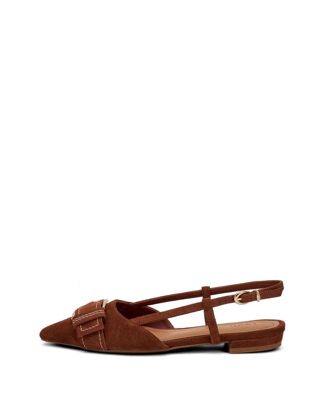 Frau Brown Buckle-Detail Suede Pumps