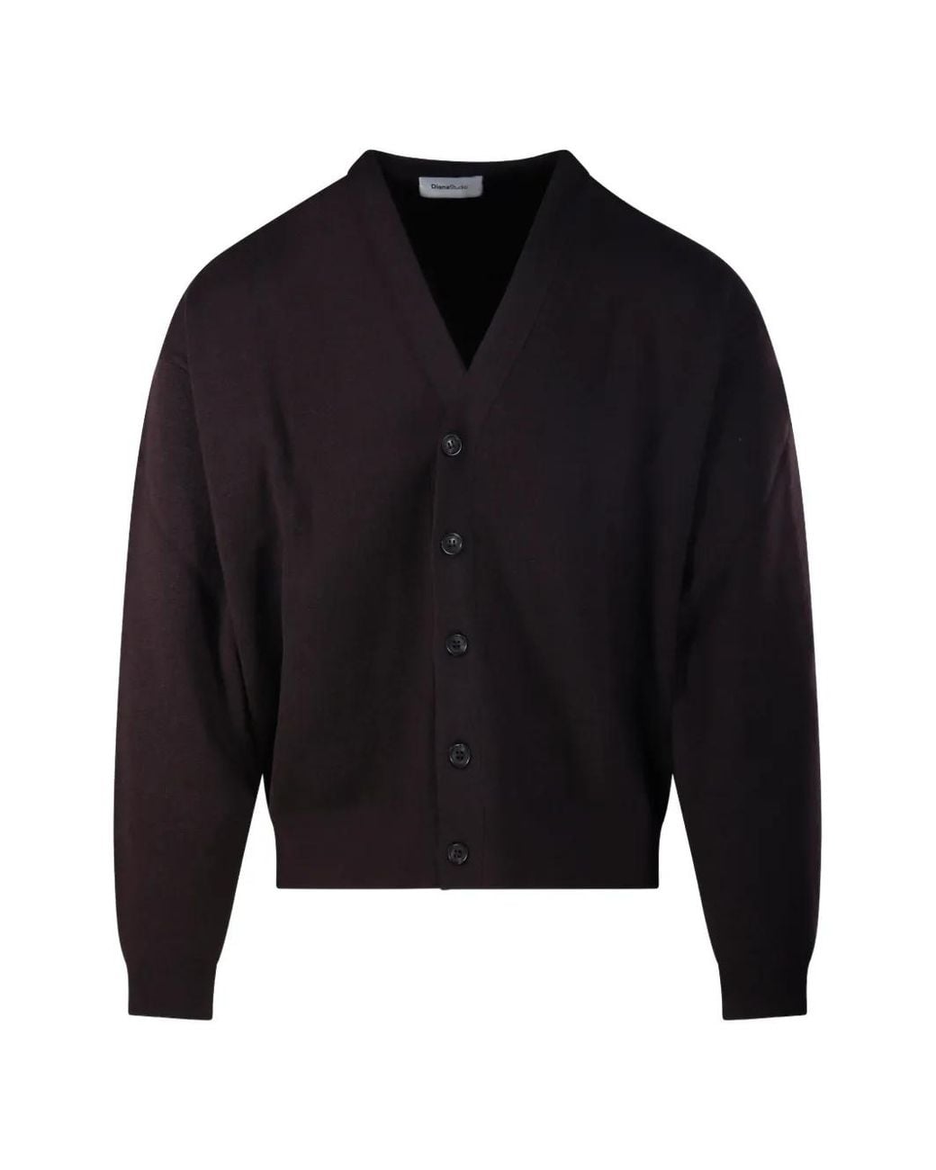 Diana Studio Blue V-Neck Button-Up Cardigan for men