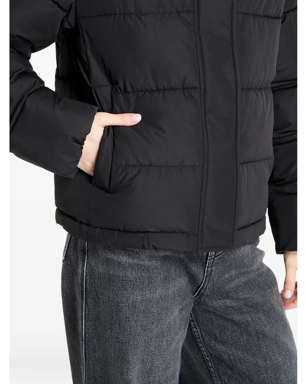 Calvin Klein Black Hooded Puffer Jacket