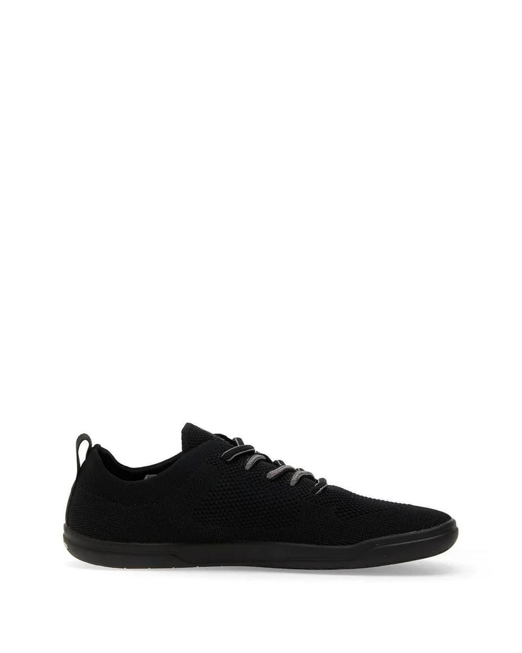 Groundies Black Mesh Lace-Up Sneakers for men