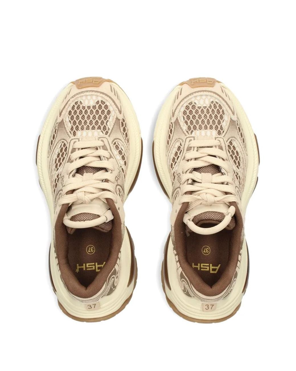 Ash Brown Dragon Chunky Sneakers