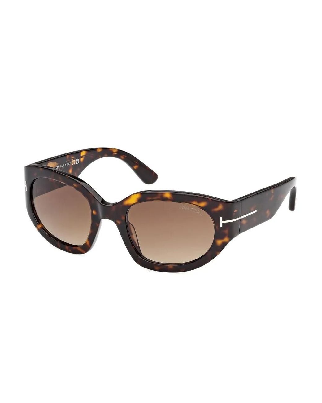 Tom Ford Brown Arizona Sunglasses