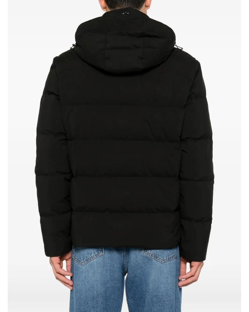 Paul & Shark Black Hooded Padded Jacket for men