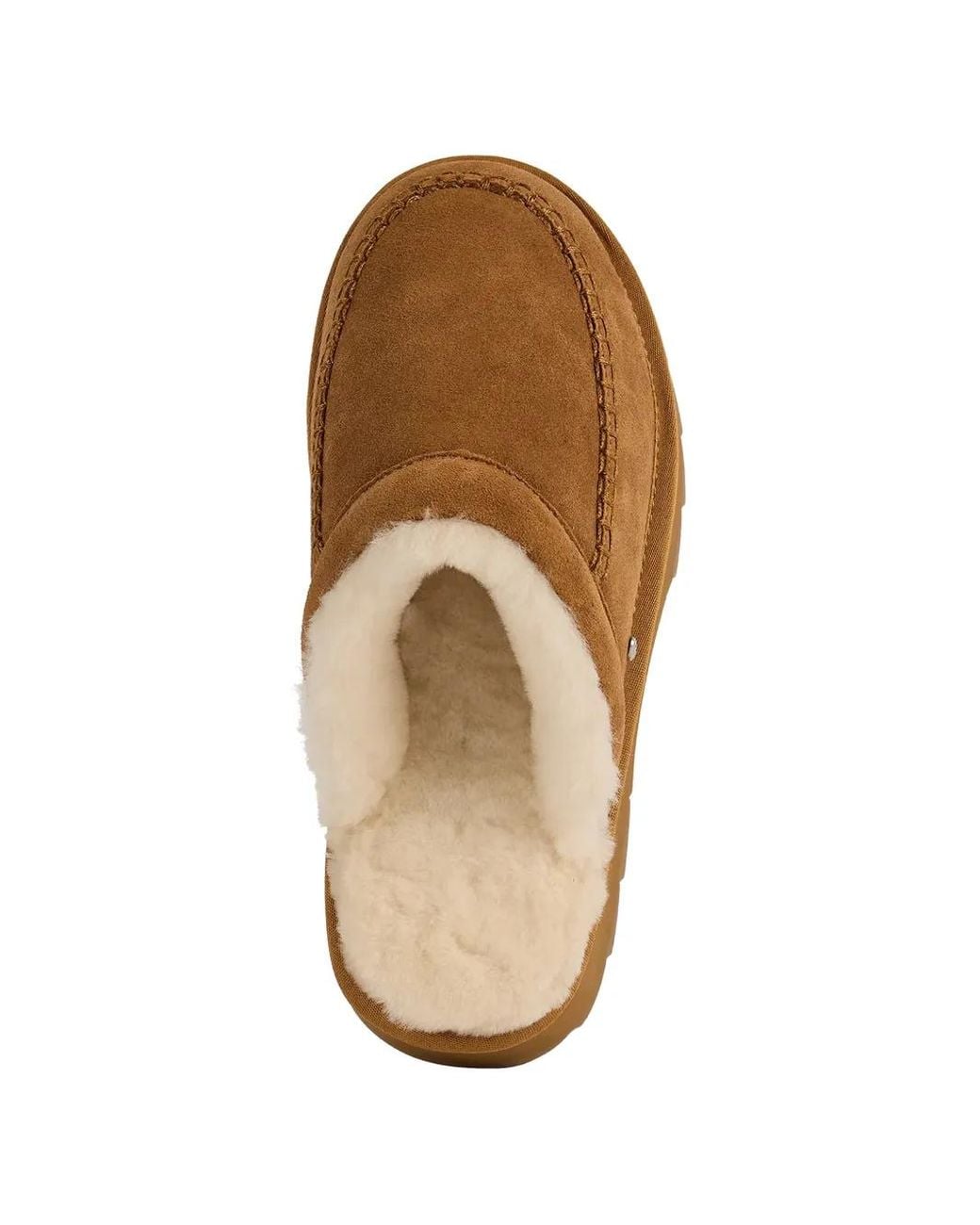 EMU Brown Sharky Slippers