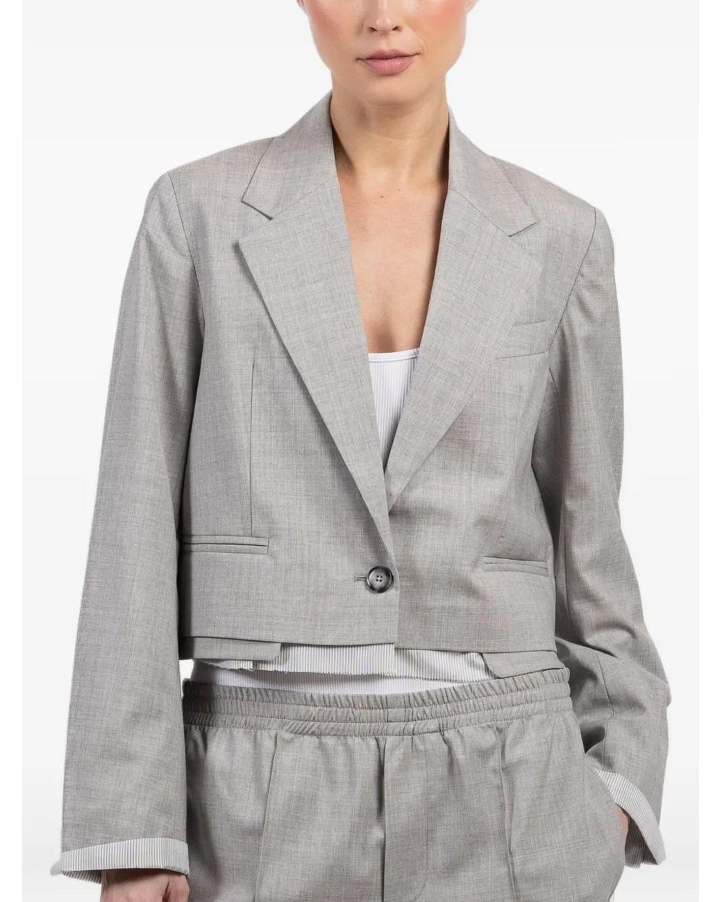 WE-AR4 Gray Cropped Single-Breasted Jacket