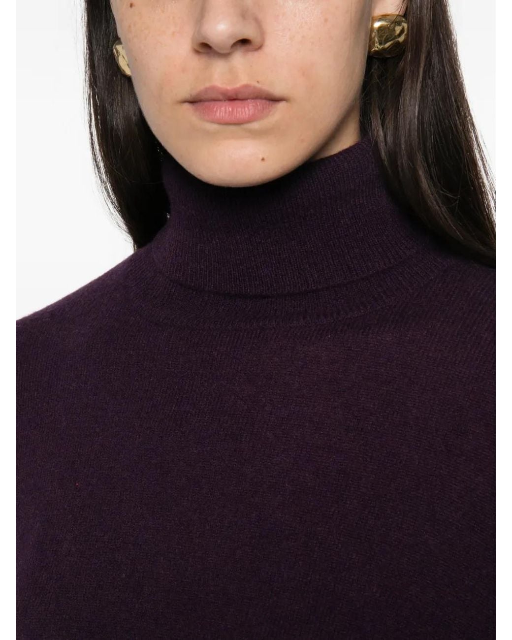 ABSOLUT CASHMERE Purple Clara Roll-Neck Cashmere Sweater