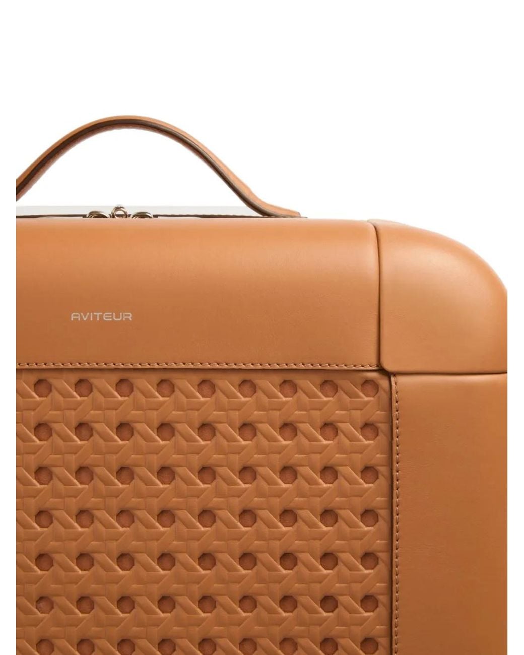 Valigia Piccola di Aviteur in Brown
