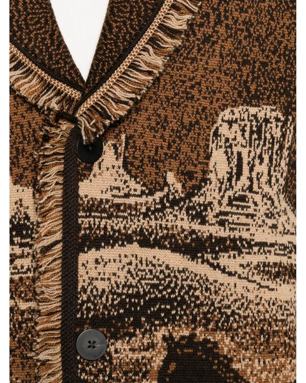 Alanui Brown Landscape-Pattern Fringed Jacket for men