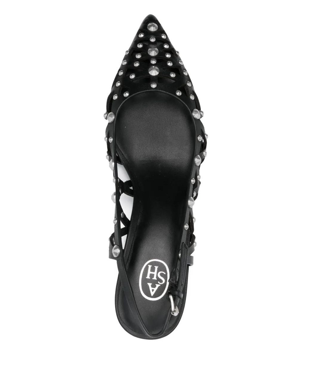 Pumps Bizarre 55 di Ash in Black
