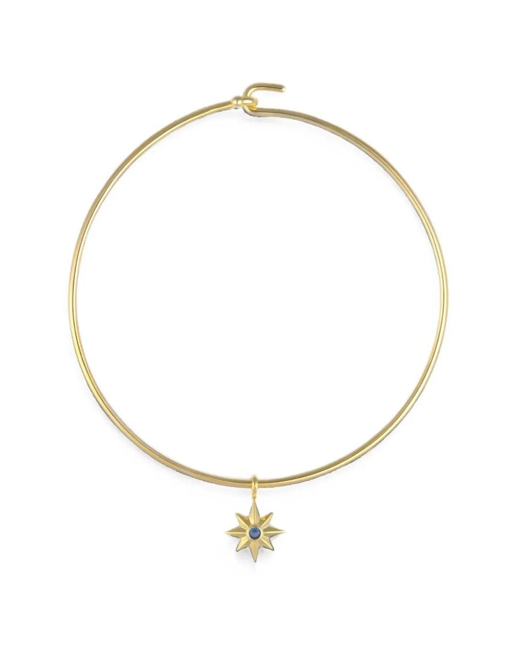 Eshvi Metallic Star Necklace