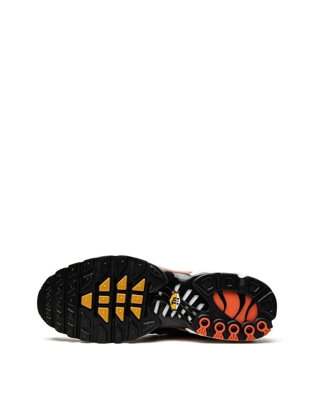 Nike Brown Baskets Air Max Plus