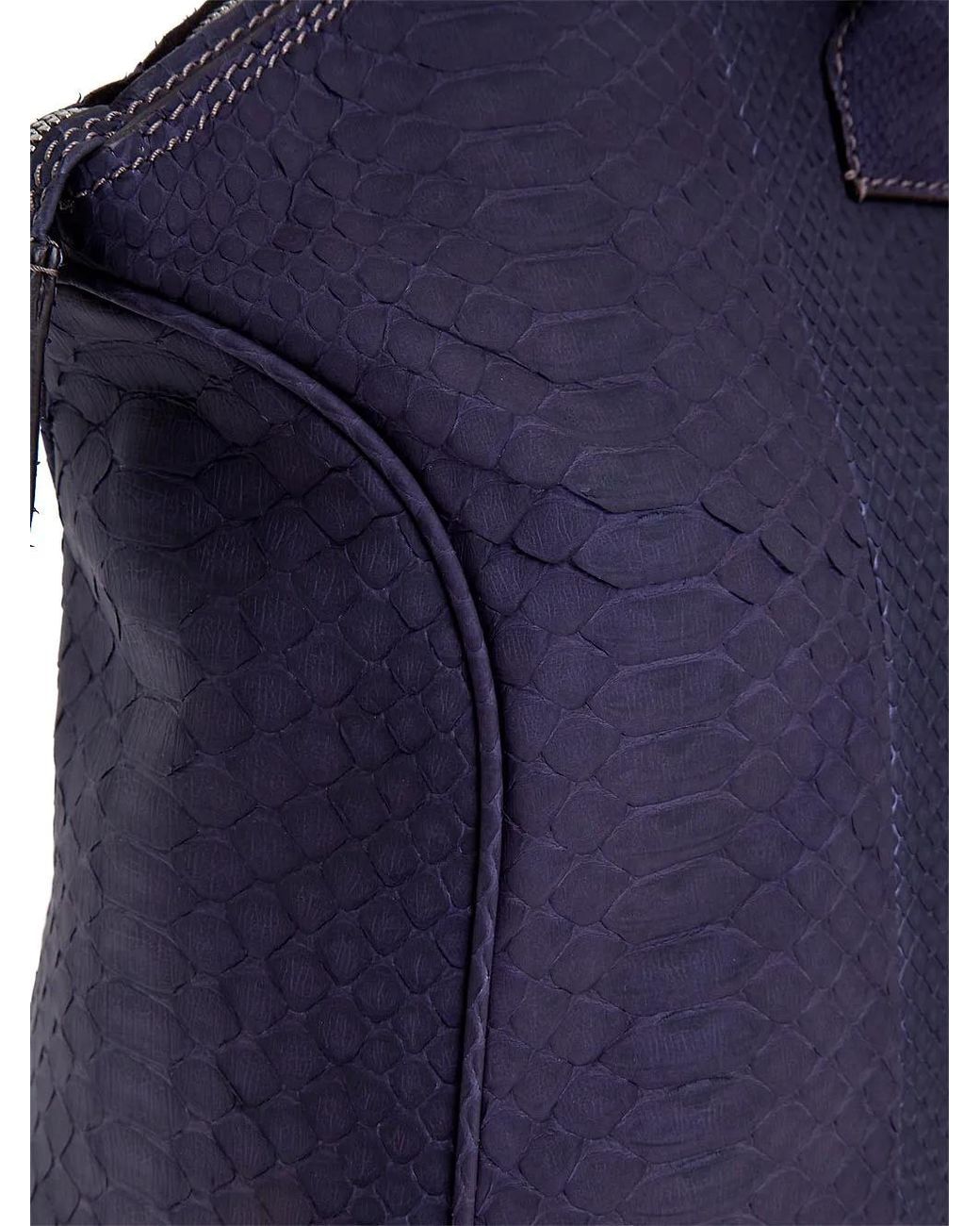 Python Skin Tote di Zagliani in Blue