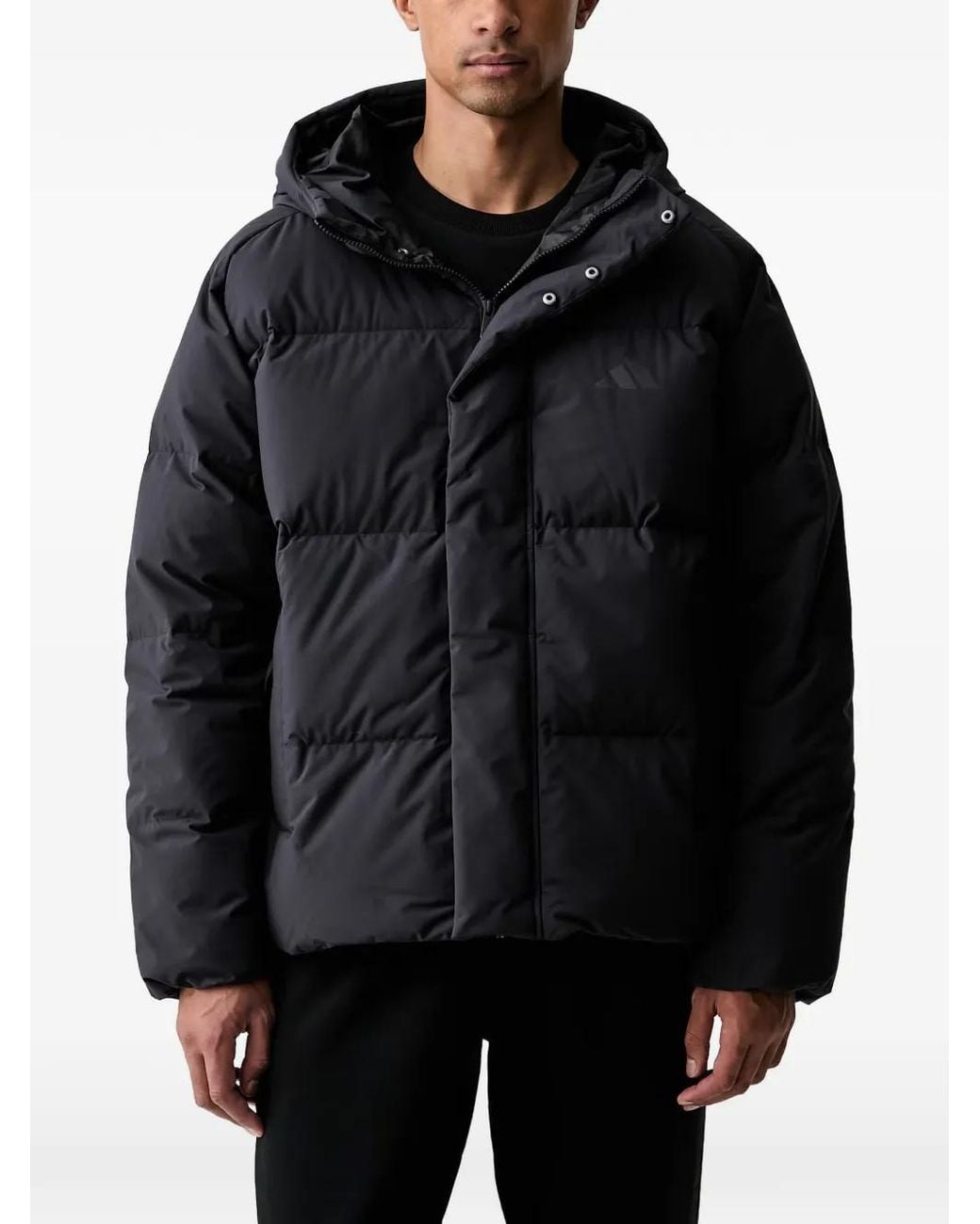 Adidas Helionic Gewatteerd Jack Met Capuchon in het Black voor heren