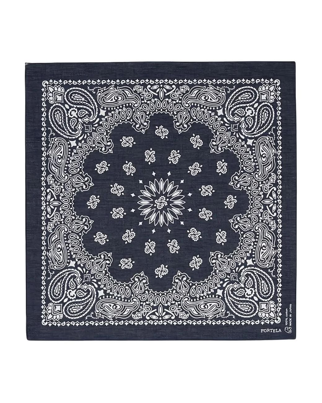 Fortela Blue Paisley Bandana for men