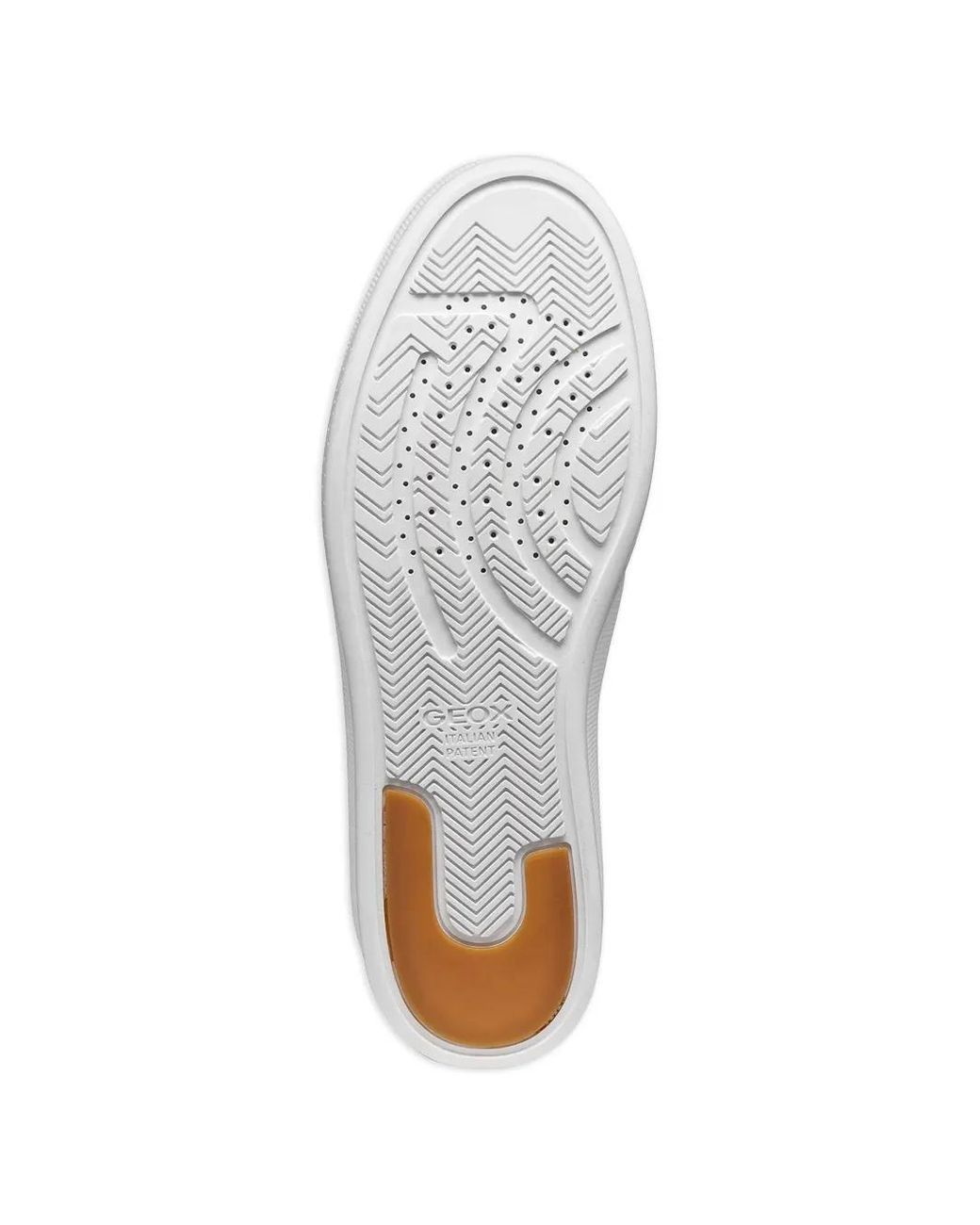 Baskets Dynamia À Plateforme Geox pour homme en coloris White