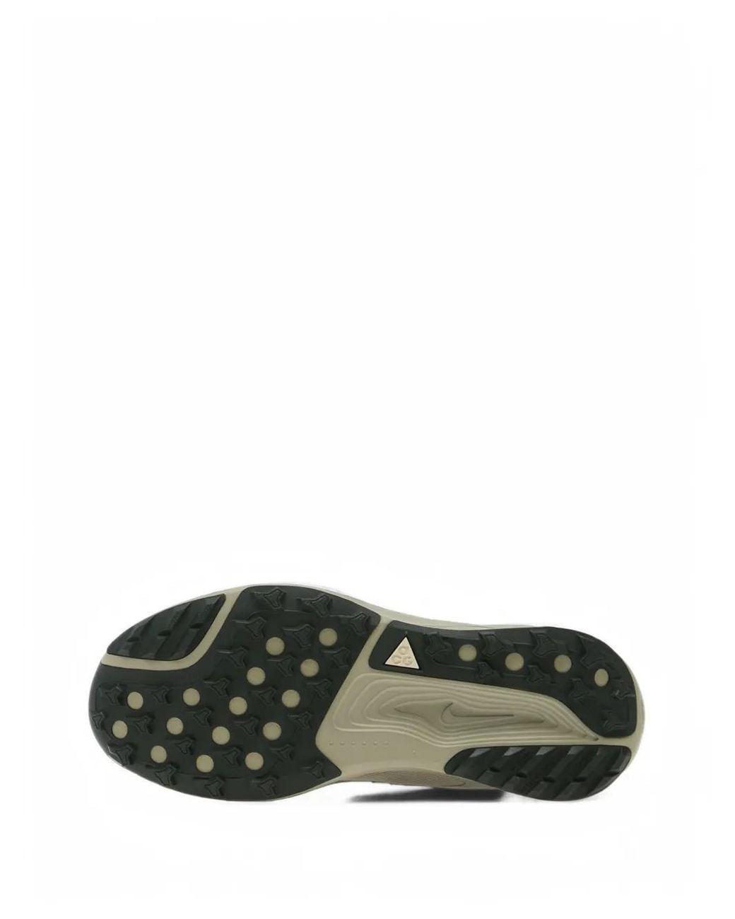 Nike Gray Acg Pegasus Trail Sneakers for men
