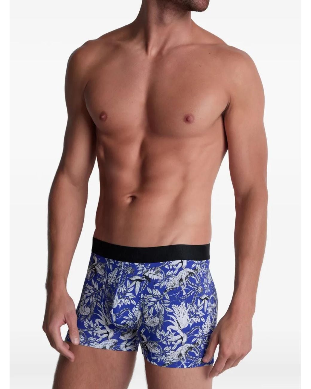 Aubade Blue Jungle Life Animal-Print Boxers Set (Set Of Two) for men