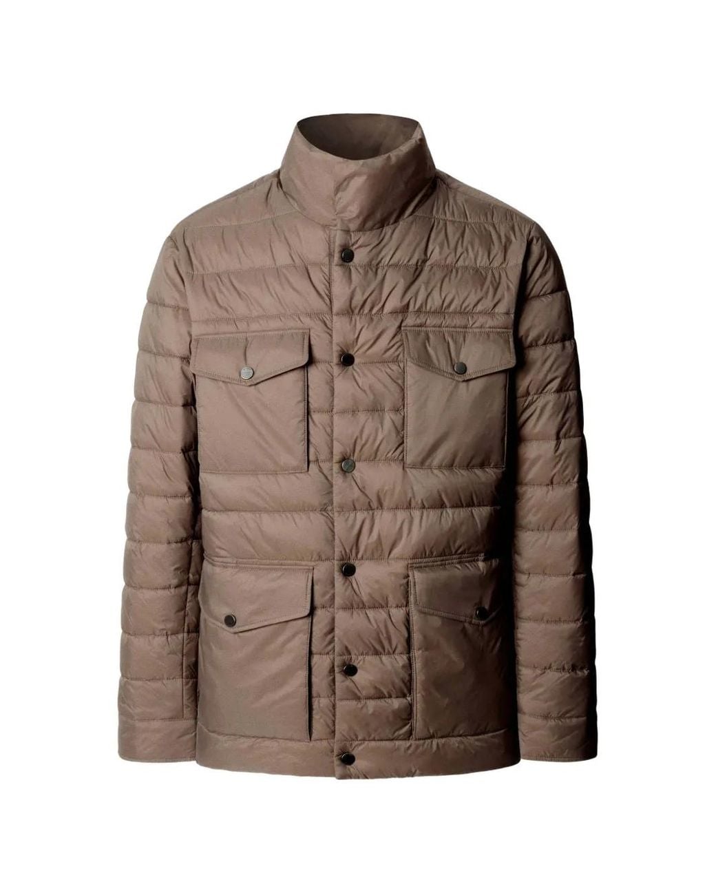 Hackett Brown High-Neck Padded Jacket for men