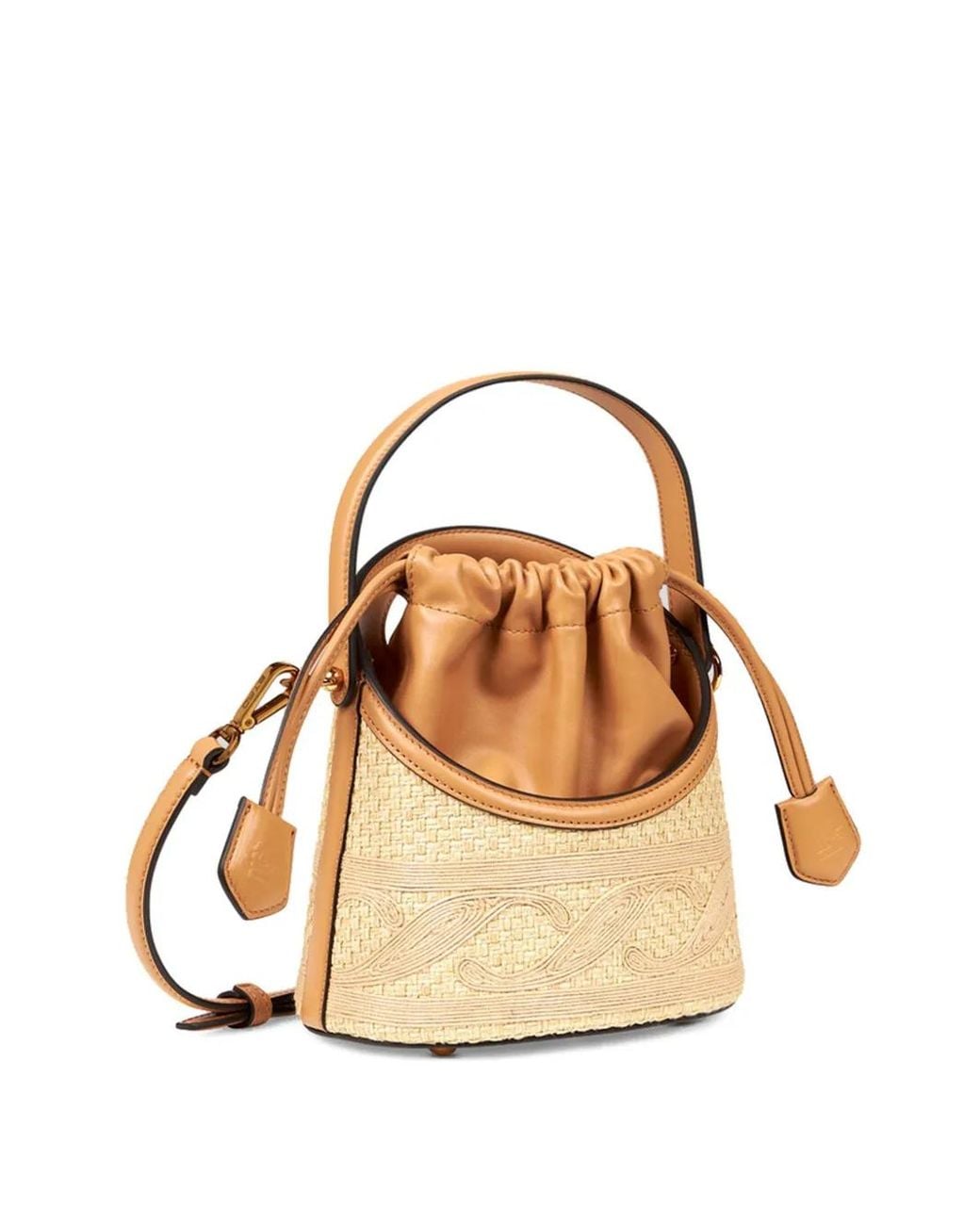 Etro Metallic Small Saturno Raffia Bucket Bag