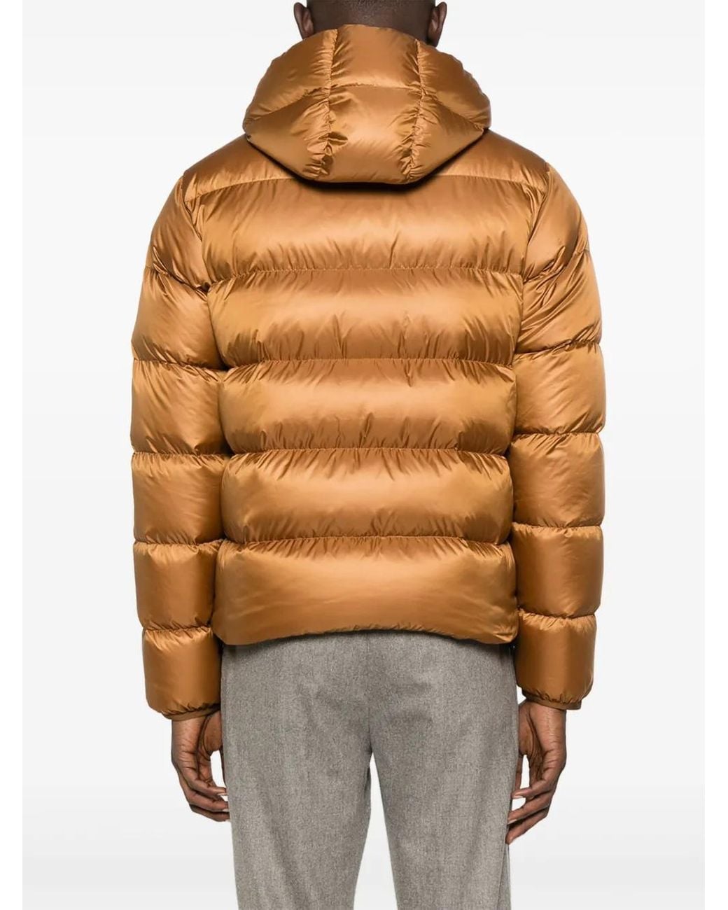 Aspesi Brown Giubb. Budd for men