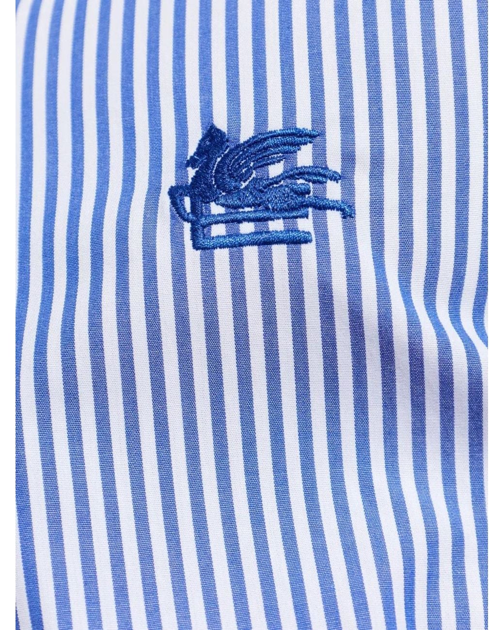 Etro Blue Striped Logo-Embroidered Shirt for men