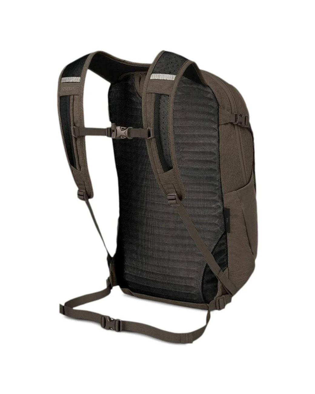Osprey Brown Daylite Plus Driftshade Backpack
