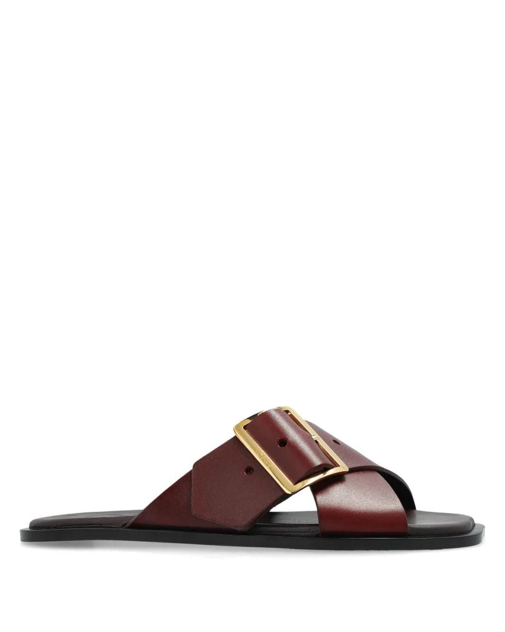 Loewe Brown Petal Belt Slides