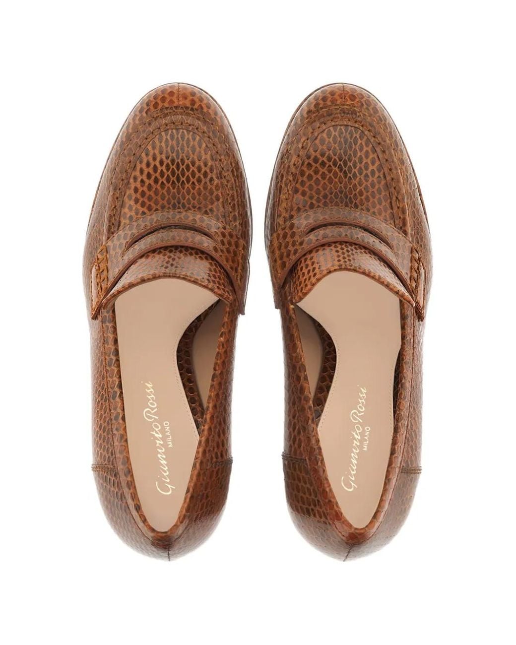 Gianvito Rossi Brown Hadden Pumps