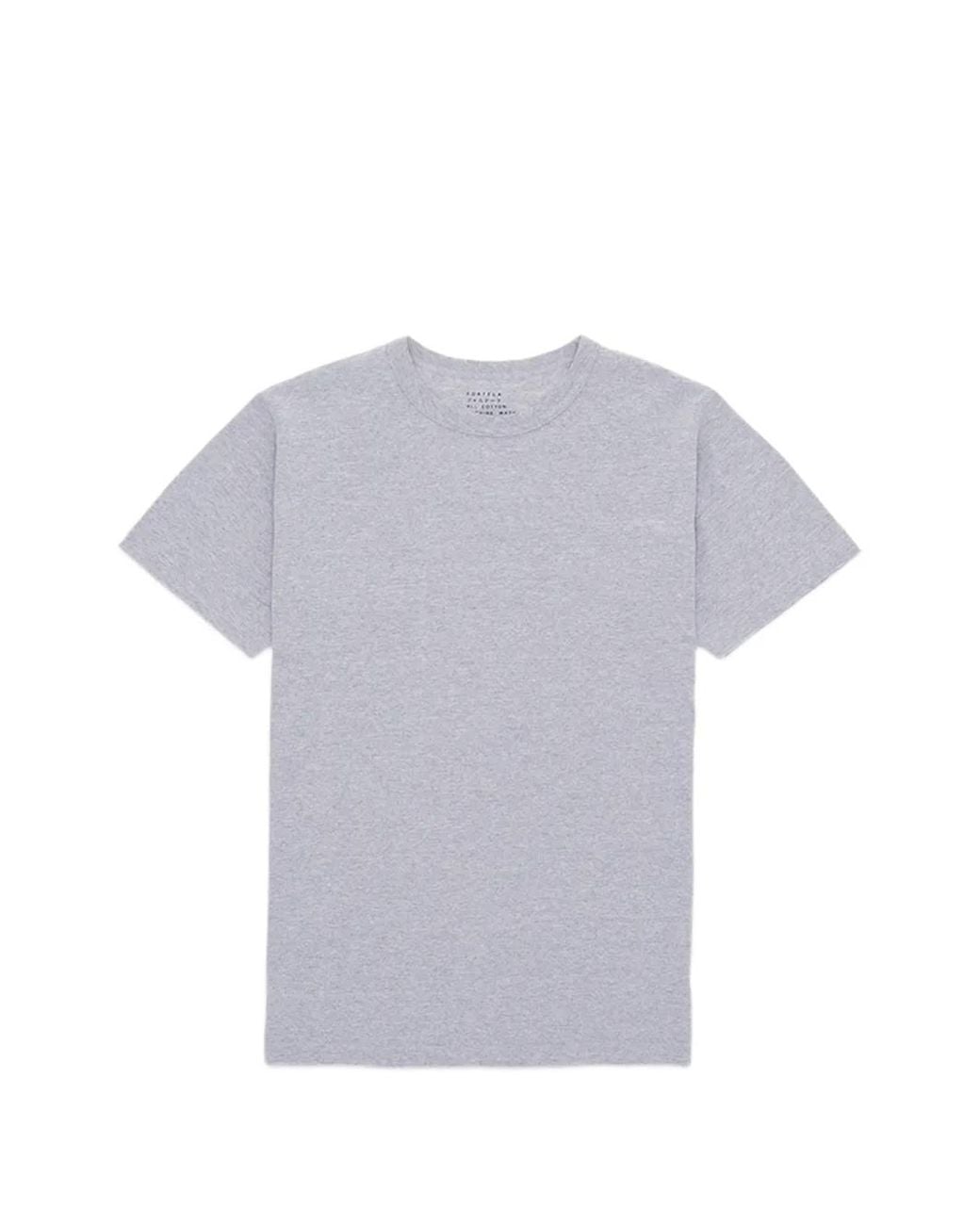 Fortela Gray Japt Crew-Neck T-Shirt for men