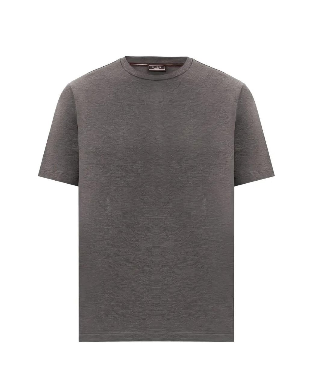 Peserico Gray Logo-Print T-Shirt for men